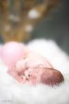 Hervé DIOLOGENT - HSD PHOTO